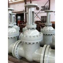 DIN Casting Dn450 Pn64 Gate Valve (Z41H-DN450-64C)